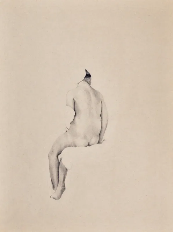 Disegni – Fernando Baccalà