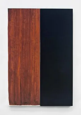 Senza titolo, 1995 – Fernando Baccalà